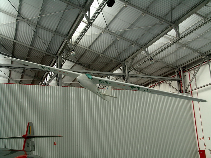 Um planador, repare nas asas relativamente grandes